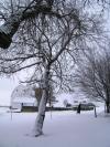 <img100*0:stuff/aj/42000/1262732507.jpg>