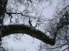 <img100*0:stuff/aj/42000/1262732677.jpg>