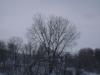 <img100*0:stuff/aj/42000/1262732878.jpg>