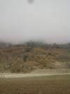 <img100*0:stuff/aj/42000/1262792823.jpg>