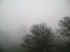 <img100*0:stuff/aj/42000/1262793329.jpg>
