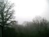 <img100*0:stuff/aj/42000/1262793494.jpg>