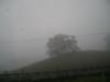 <img100*0:stuff/aj/42000/1262793562.jpg>