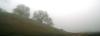<img100*0:stuff/aj/42000/1262793581.jpg>