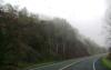 <img100*0:stuff/aj/42000/1262794918.jpg>