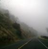 <img100*0:stuff/aj/42000/1262795109.jpg>