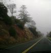 <img100*0:stuff/aj/42000/1262795279.jpg>