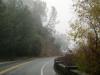 <img100*0:stuff/aj/42000/1262795457.jpg>