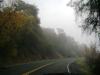 <img100*0:stuff/aj/42000/1262795599.jpg>