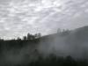 <img100*0:stuff/aj/42000/1262795660.jpg>