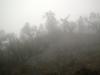 <img100*0:stuff/aj/42000/1262796460.jpg>