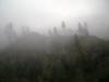 <img100*0:stuff/aj/42000/1262796592.jpg>