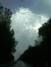 <img100*0:stuff/aj/42000/1262799109.jpg>
