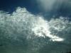 <img100*0:stuff/aj/42000/1262799202.jpg>