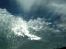 Winter Skies 