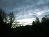 <img100*0:stuff/aj/42000/1262799864.jpg>