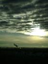 <img100*0:stuff/aj/42000/1262799951.jpg>