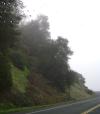 <img100*0:stuff/aj/42000/1262808324.jpg>