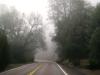 <img100*0:stuff/aj/42000/1262808453.jpg>