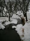 <img100*0:stuff/aj/42000/1262813596.jpg>