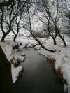 <img100*0:stuff/aj/42000/1262814579.jpg>
