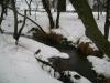 <img100*0:stuff/aj/42000/1262814624.jpg>