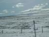 <img100*0:stuff/aj/42000/1262816536.jpg>