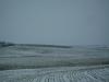 <img100*0:stuff/aj/42000/1262816734.jpg>