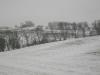 <img100*0:stuff/aj/42000/1262816796.jpg>