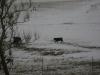 <img100*0:stuff/aj/42000/1262816886.jpg>