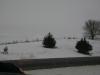 <img100*0:stuff/aj/42000/1262816970.jpg>