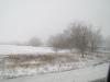 <img100*0:stuff/aj/42000/1262818296.jpg>