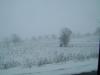 <img100*0:stuff/aj/42000/1262818344.jpg>