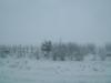 <img100*0:stuff/aj/42000/1262818390.jpg>