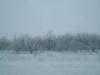 <img100*0:stuff/aj/42000/1262818421.jpg>