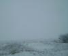 <img100*0:stuff/aj/42000/1262818444.jpg>
