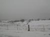 <img100*0:stuff/aj/42000/1262880473.jpg>