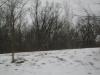 <img100*0:stuff/aj/42000/1262880551.jpg>