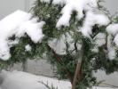 States of Snow 2