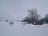 <img100*0:stuff/aj/42000/1262881194.jpg>