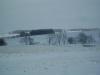 <img100*0:stuff/aj/42000/1262881588.jpg>