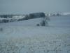 <img100*0:stuff/aj/42000/1262881627.jpg>