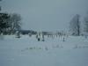 <img100*0:stuff/aj/42000/1262882779.jpg>