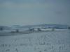<img100*0:stuff/aj/42000/1262882932.jpg>