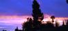 <img100*0:stuff/aj/42000/1263490043.jpg>