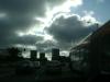 <img100*0:stuff/aj/42000/1263499333.jpg>