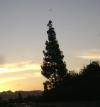 <img100*0:stuff/aj/42000/1263499679.jpg>