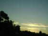<img100*0:stuff/aj/42000/1263499795.jpg>