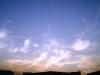 <img100*0:stuff/aj/42000/1263500197.jpg>