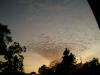 <img100*0:stuff/aj/42000/1263569589.jpg>